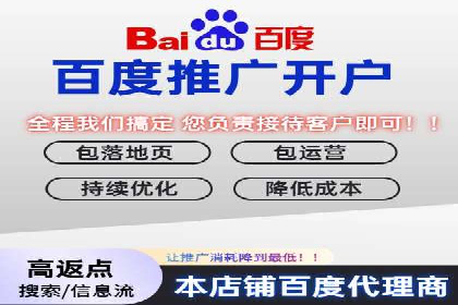 竞价推广策略解析：实战案例分析